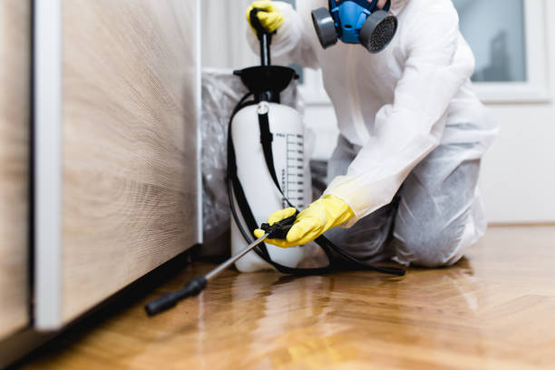 Best Mosquito Control Services  in Liberty Lake, WA
