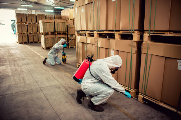 Best Ant Control Services  in Liberty Lake, WA