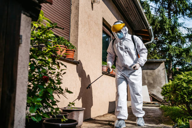 Best Insect Control  in Liberty Lake, WA