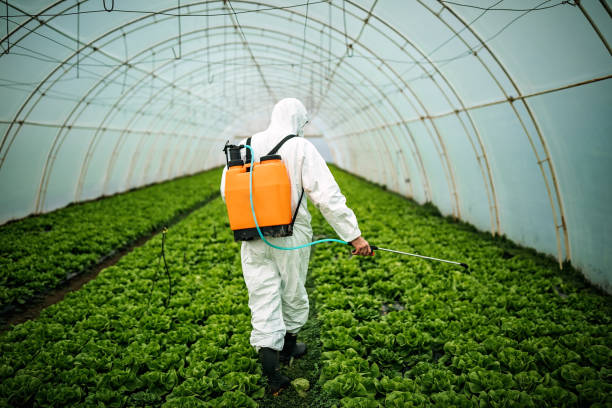 Pest Prevention Services in Liberty Lake, WA