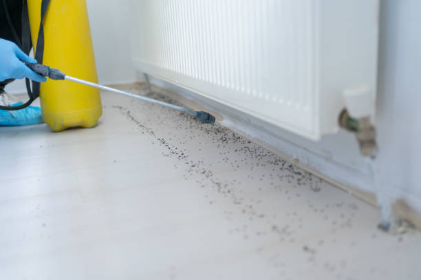 Best Cockroach Control Services  in Liberty Lake, WA