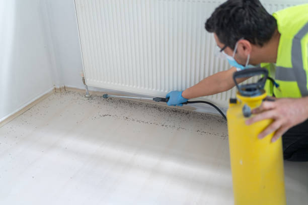 Best Local Pest Control Services  in Liberty Lake, WA