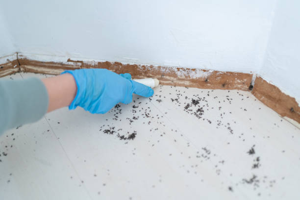 Liberty Lake, WA Pest Control Company