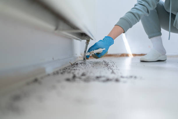Best Exterminator Services  in Liberty Lake, WA