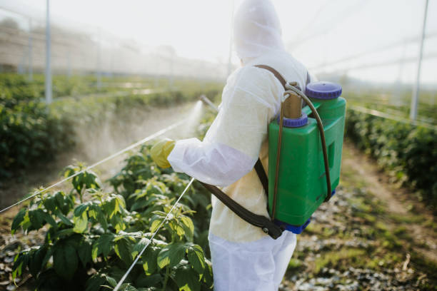 Best Bed Bug Extermination  in Liberty Lake, WA